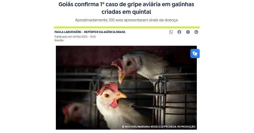 鳥インフルエンザ＝ゴイアス州で初の報告例＝ＢＲＦが予防措置で鶏を殺処分