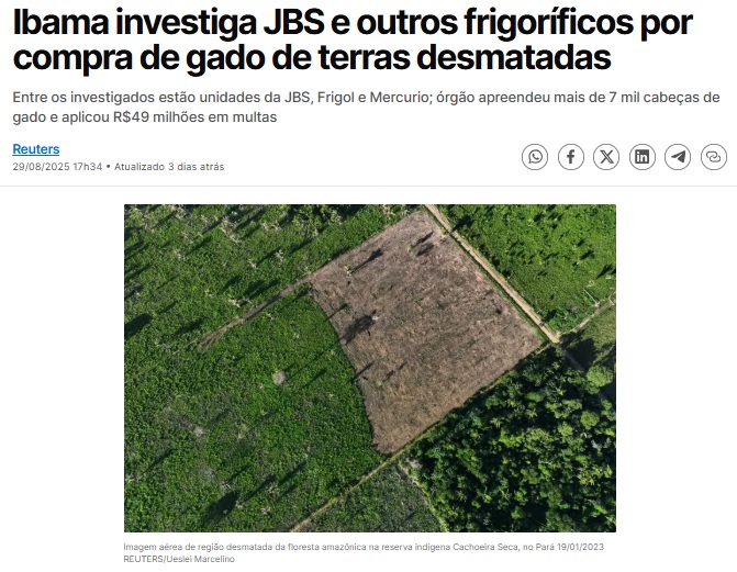 Ｉｂａｍａ 写真