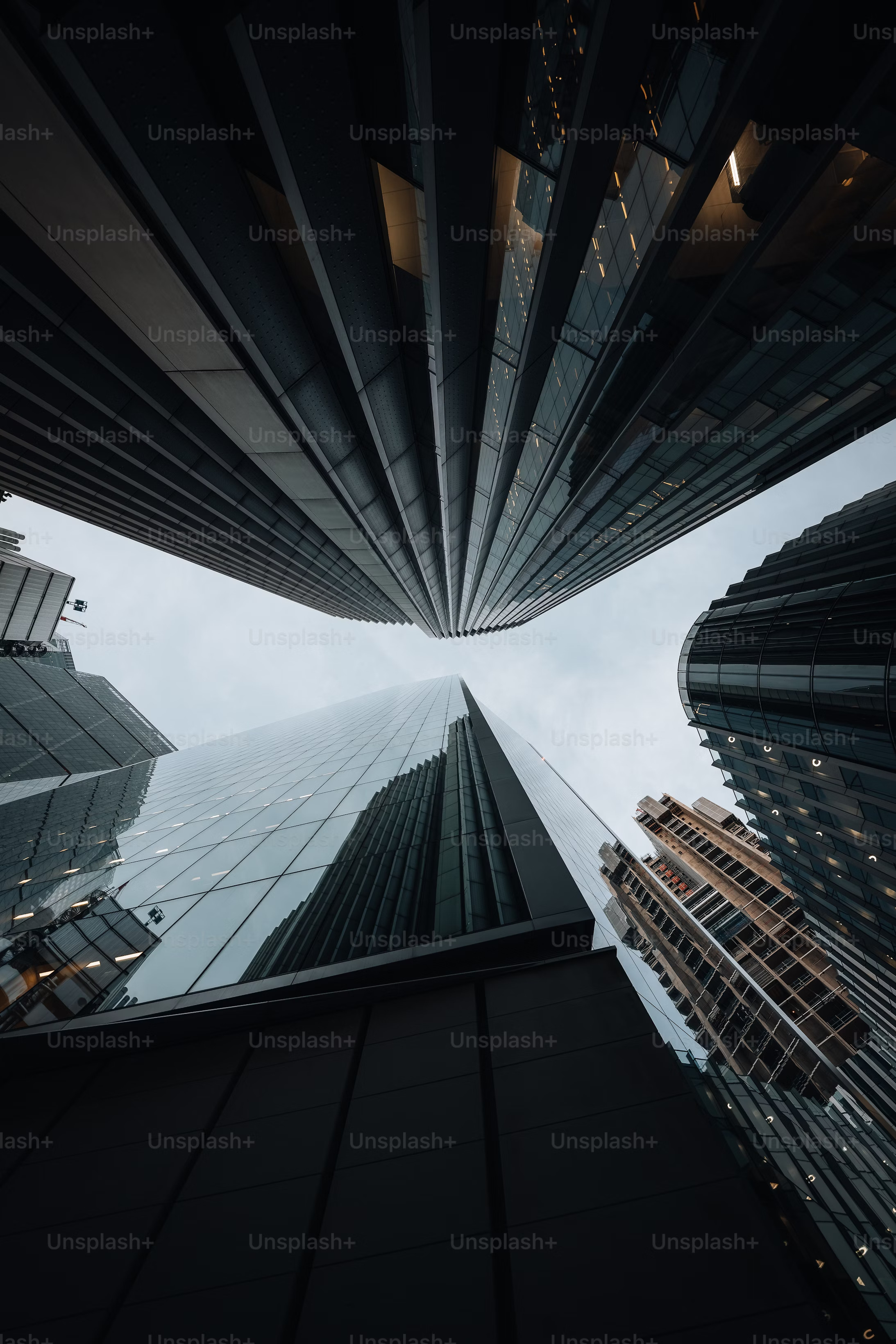 premium_photo-1672423156257-9a2bc5e1f480