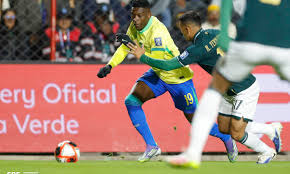 ２段ボリビア