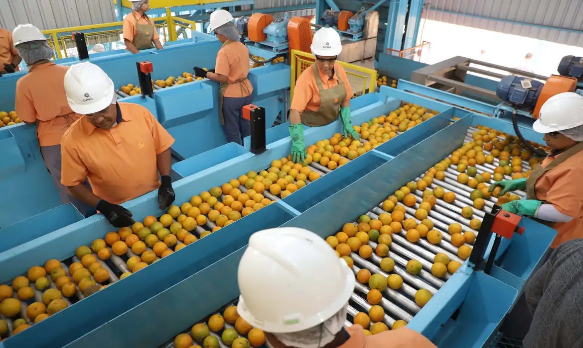 対米輸出＝関税率で輸出減少率に差＝高関税品は22・4％減
