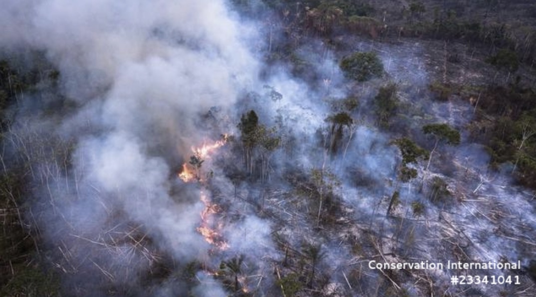 2024年、過去70年で最も深刻な干ばつに見舞われたブラジルでは、高温と相まって国内各地で記録的な森林火災が発生した。（写真/CI提供）