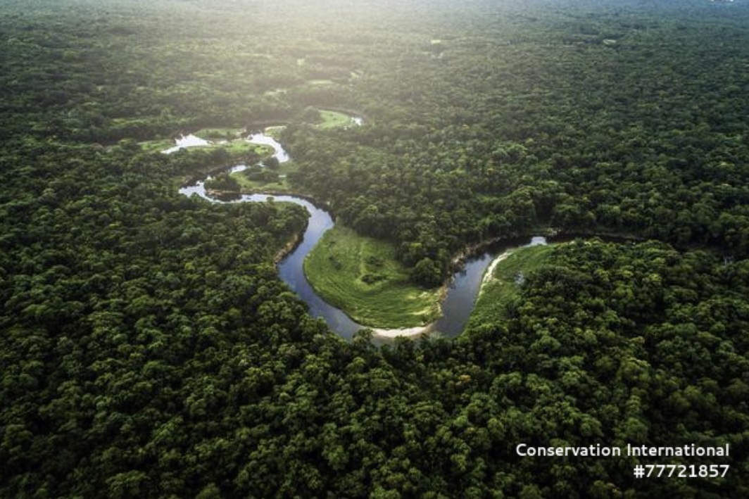《寄稿》アマゾンでCOP30の意義＝ブラジルや日本企業にとっての展望＝CIが商議所でセミナー