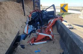 パパガイオ１