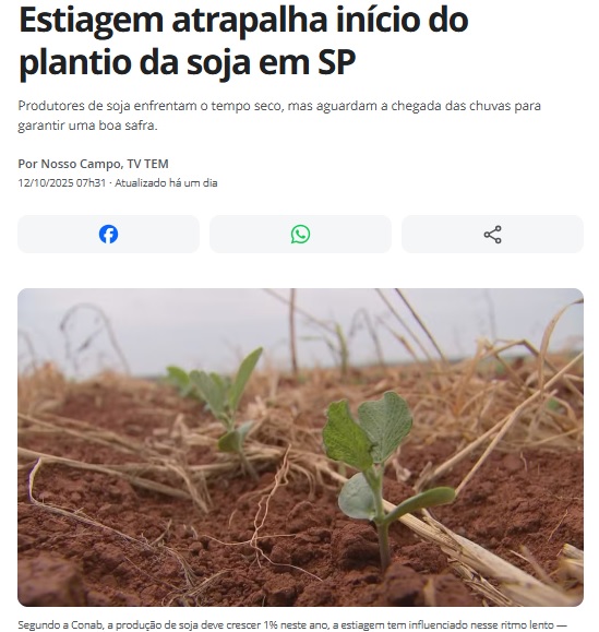 サンパウロ州＝大豆の播種に待たれる雨＝全国の収量予測は1％増
