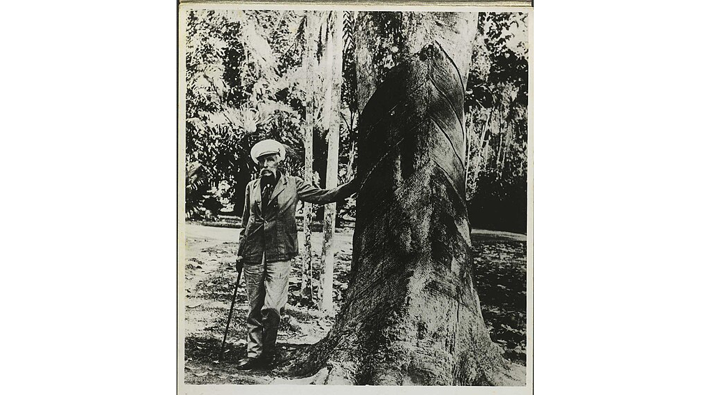 アマゾンの歴史を変えた〝知の密輸〟＝COP30開催都市が学ぶべき教訓とは