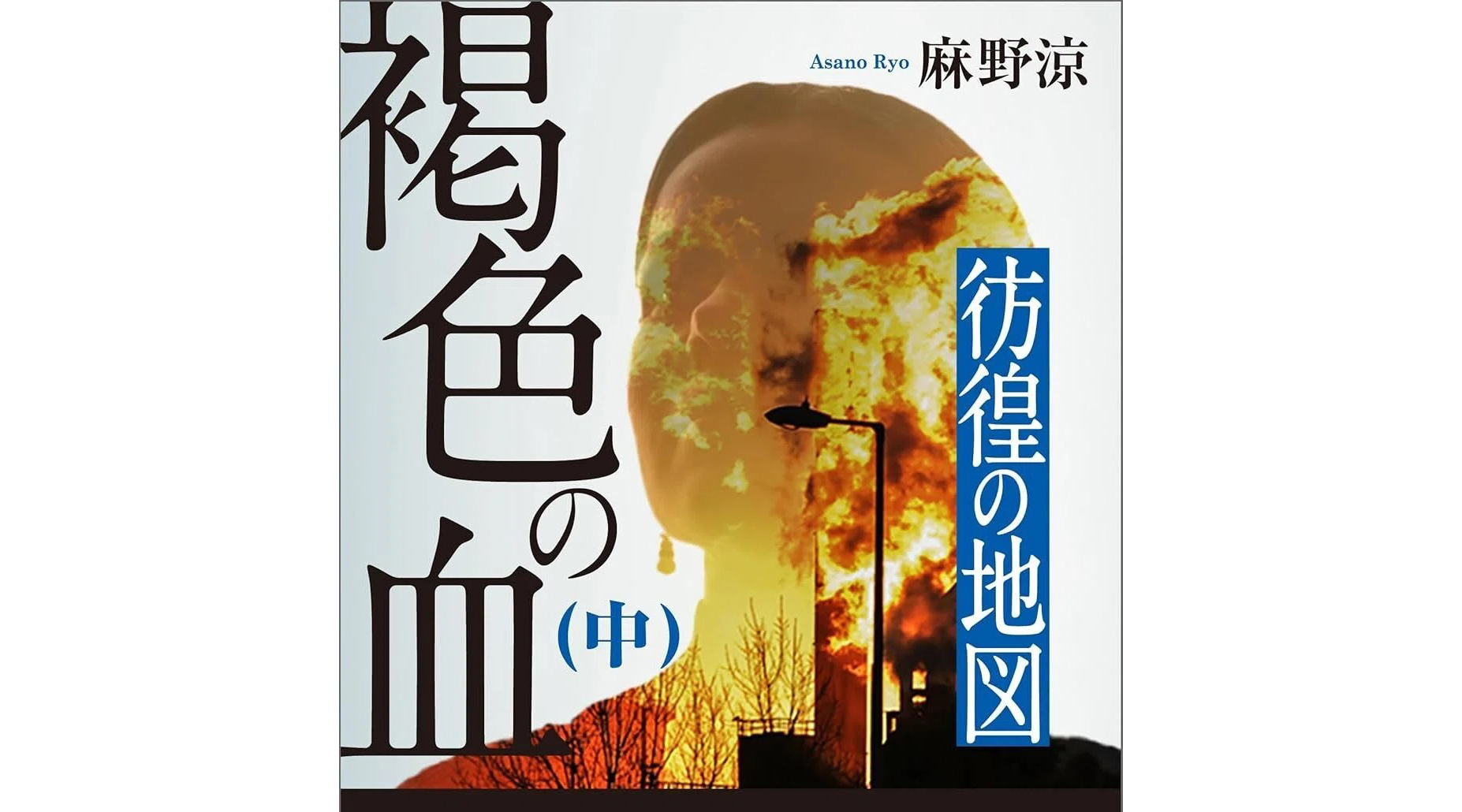 書評＝揺れる大地に立つ日本人の物語＝『褐色の血（中） 第二部 彷徨の地図』