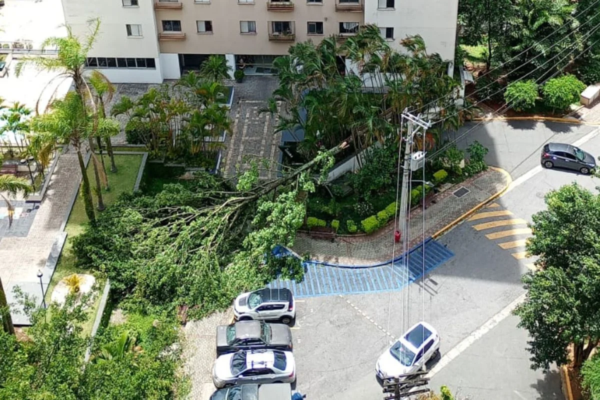 サンパウロ市は強風で停電、メトロも一部区間運休で混乱