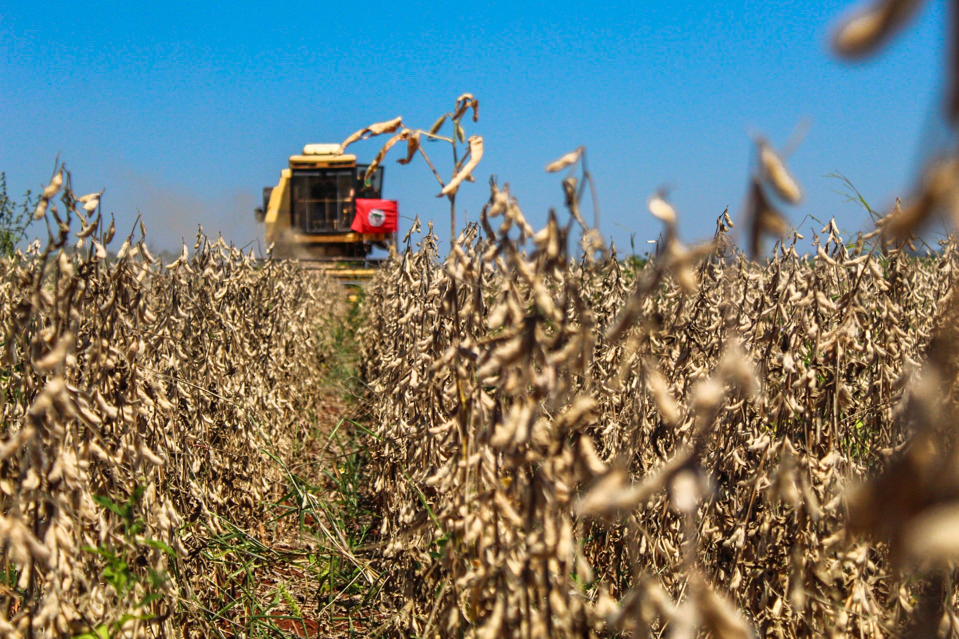 2e6deb58-c566-4305-b31d-0774698795d8