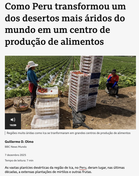 スクリーンショット 2026-02-06 10