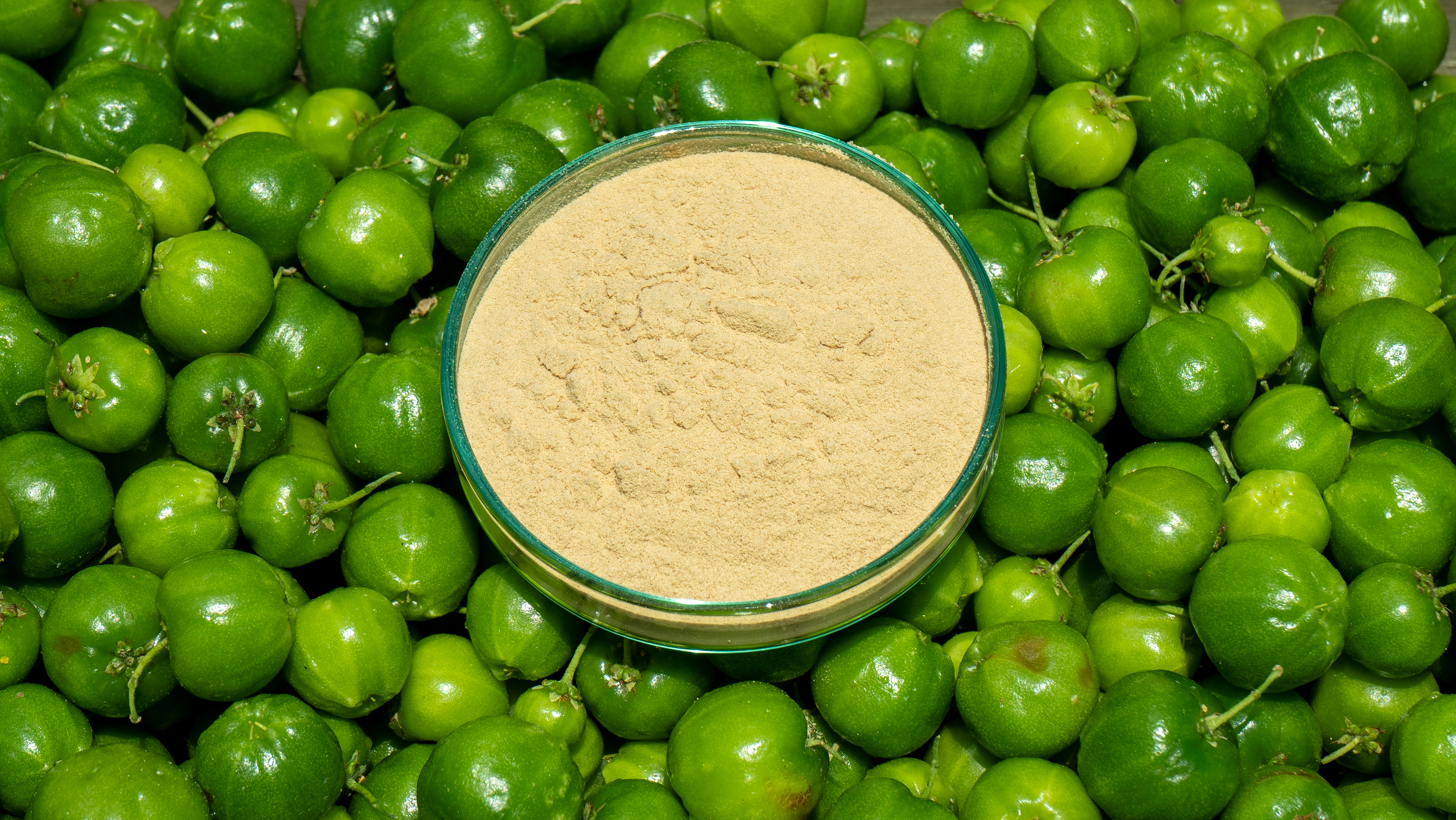 Produtos de acerola em pó (foto fornecida)