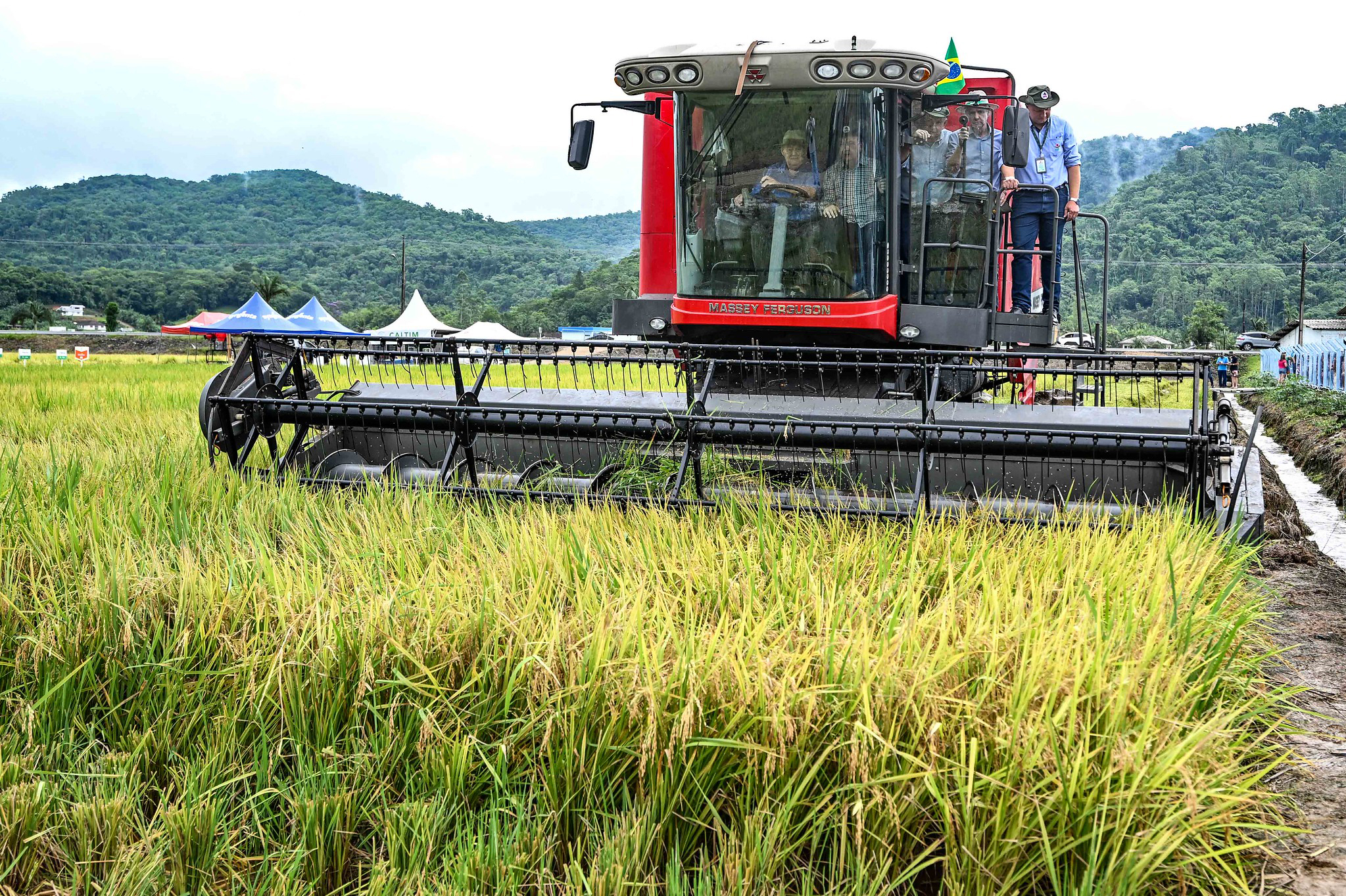 8b9fd5b6-b831-4deb-a6a4-3aa9baa30de9