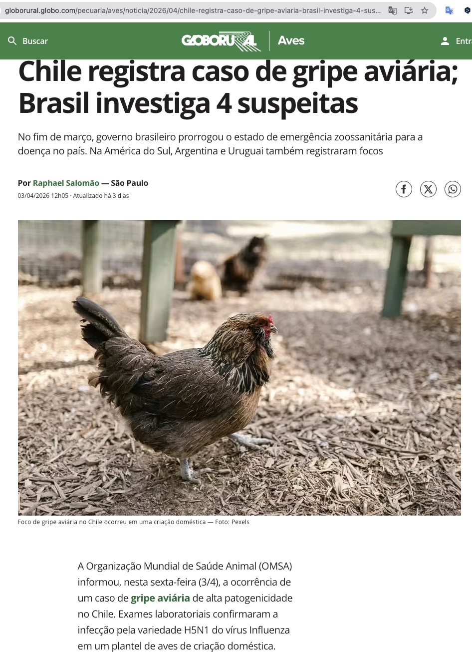 3日付グローボルラルの記事の一部