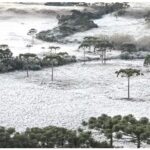 霜に覆われた丘陵地（São Joaquim Online/Divulgação）