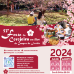 桜祭り告知画像