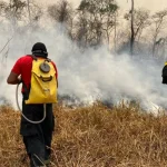 ロンドニア州で消火活動にあたる消防士達（©CBMRO/Divulgacao）