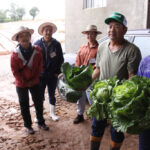 自分たちで作った葉野菜を手にする瀬口夫妻（右2人）